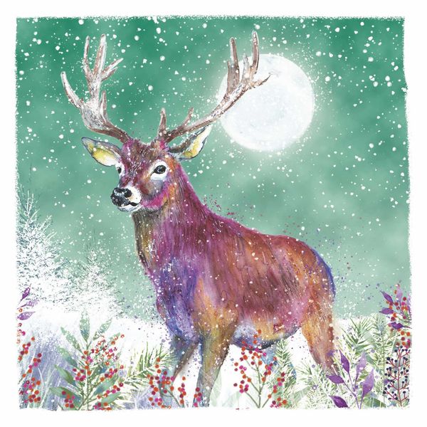 Young Stag