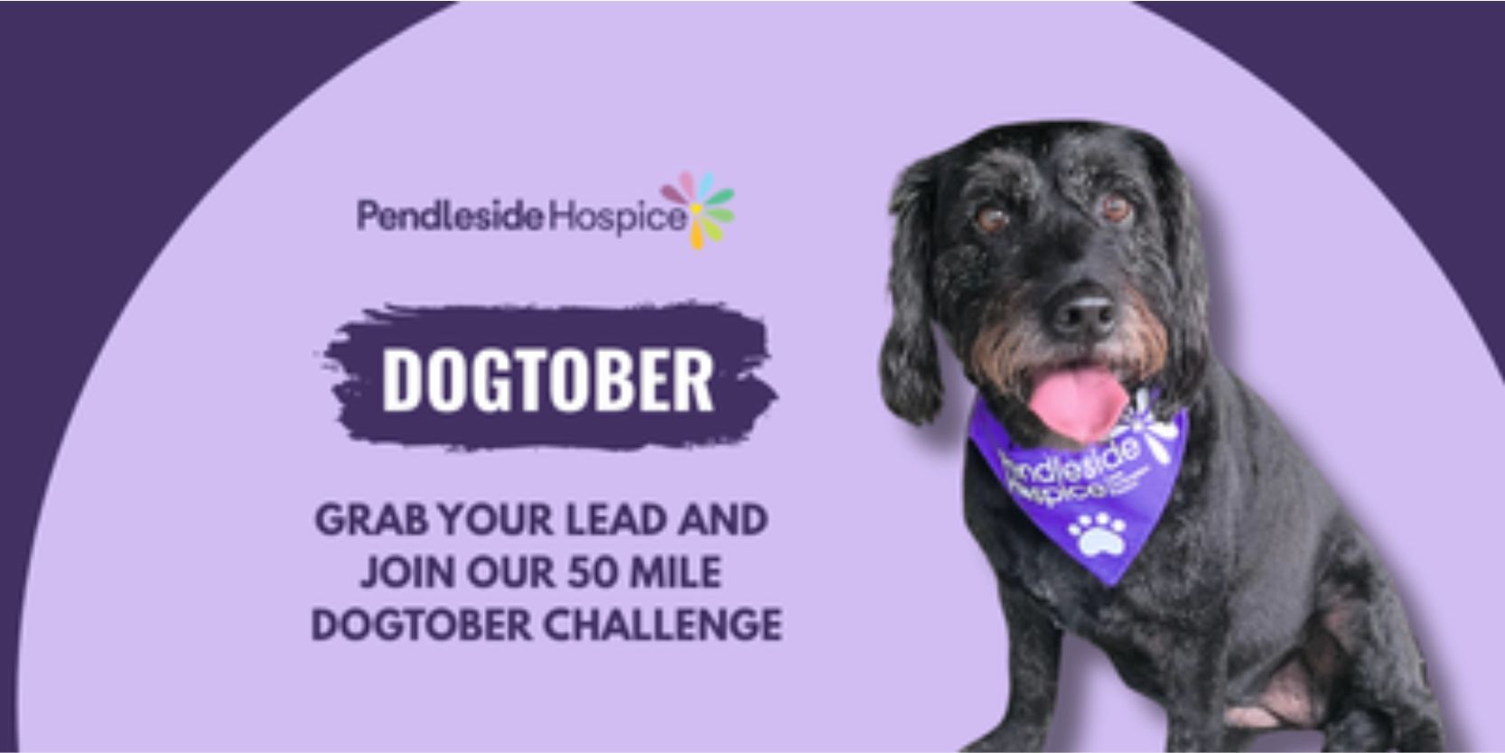 dogtober other image for website
