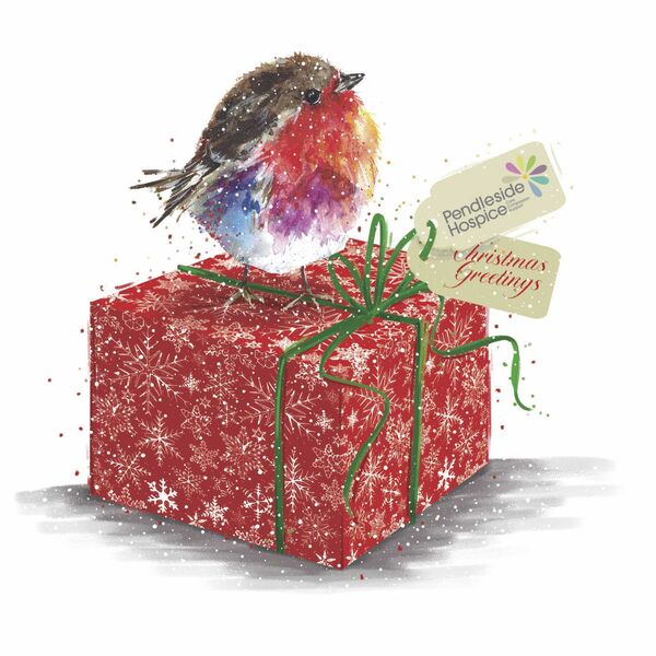Fluffy Robin with Present