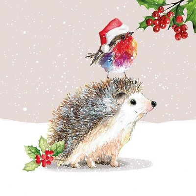 Hedgehog And Fluffy Robin