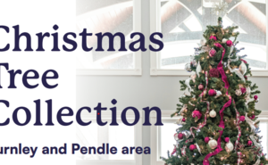 Pendleside Christmas Tree Collection 2027